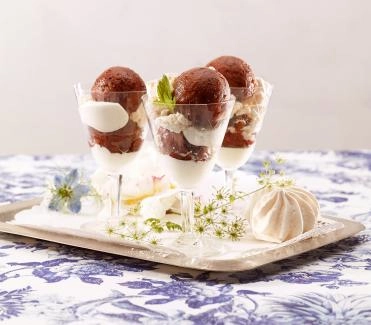 2015-09-schnelles-zwetschgen-sorbet